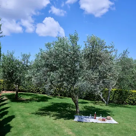 Kyamon Luxury With Heated Saltwater Pool Near Chania וילה