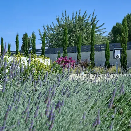 Kyamon Luxury With Heated Saltwater Pool Near Chania *